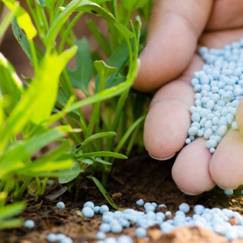 Fertilizers