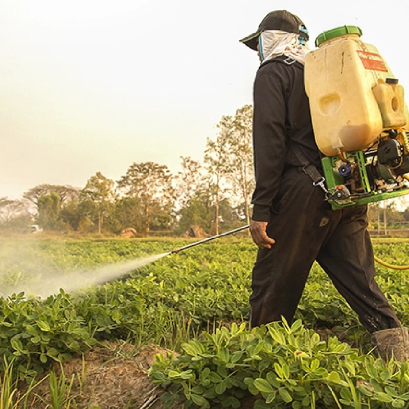 Farmer spraying herbicide on crops