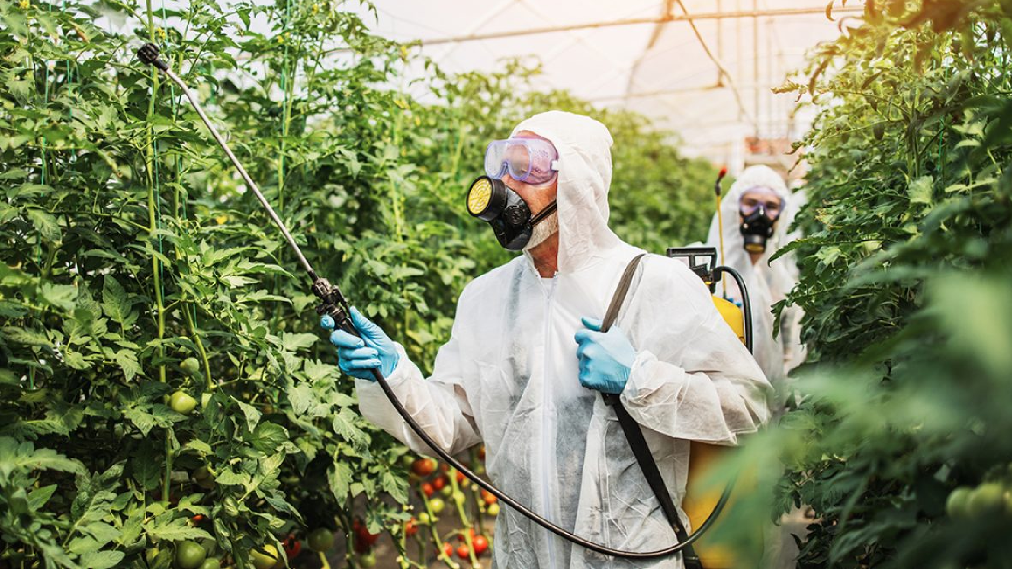 مواد كيميائية للبدلات الواقية من المواد الخطرة والزراعة